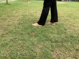 Bare feet gently walking on fresh green grass in natural sunlight, symbolizing a mindful connection with nature, grounding, and inner calm.