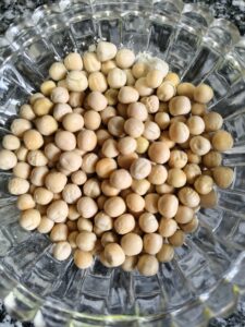 Dried white matar (white peas) soaked overnight in water for matar kulcha recipe